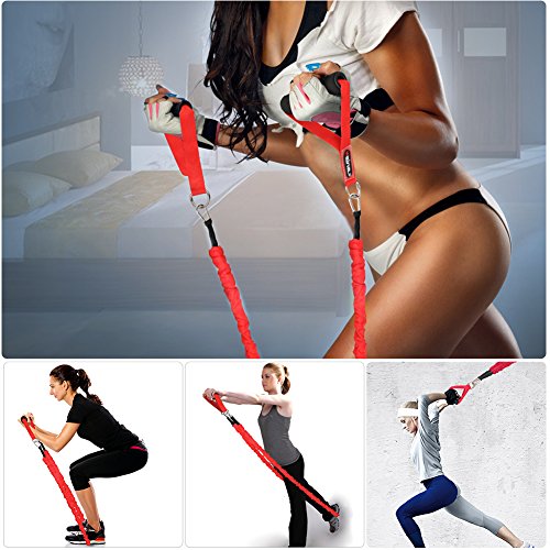 5 Cuerdas Elásticas de Fitness WEINAS® Set de Banda de Resistencia Desmontable con Mango de Espuma, Anclaje para Puerta, Correas de Tobillo, Sistema de Entrenamiento en Suspensión para Ejercicios