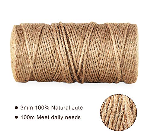 ABSOFINE 100m Hilo Natural Yute Cordel de Cáñamo Cuerda de Bricolaje con 100pcs Mini Pinzas floristería, Etiqueta, Regalos Regalo, Oficina, proyectos de jardinería, Manualidades DIY Decoración