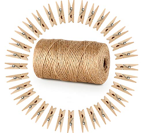 ABSOFINE 100m Hilo Natural Yute Cordel de Cáñamo Cuerda de Bricolaje con 100pcs Mini Pinzas floristería, Etiqueta, Regalos Regalo, Oficina, proyectos de jardinería, Manualidades DIY Decoración