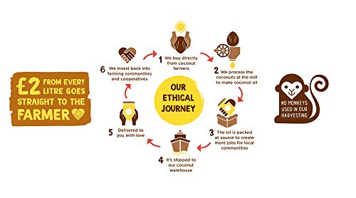 Aceite de coco virgen extra orgánico para comerciante de coco 1 litro