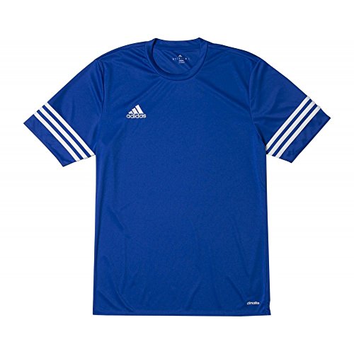 adidas Entrada 14 JSY, Camiseta para hombre, Azul (Cobalt/White), M, F50491