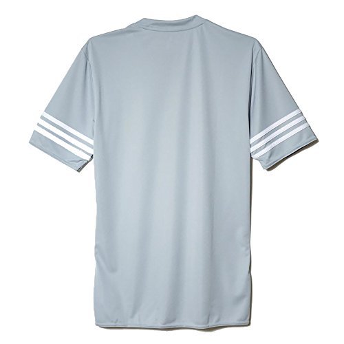 adidas Entrada 14 JSY, Camiseta para hombre, Gris (Silver/White), S, F50493