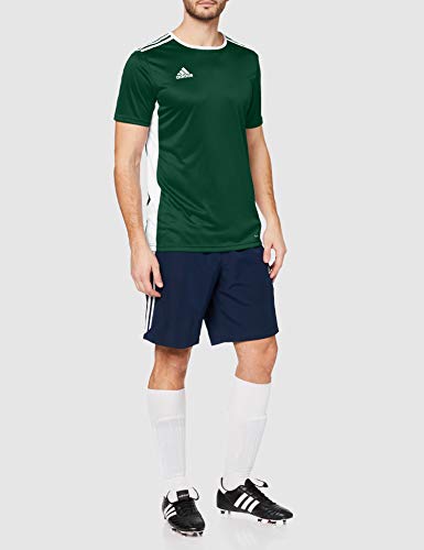 adidas Entrada 18 JSY T-Shirt, Hombre, Collegiate Green/White, L