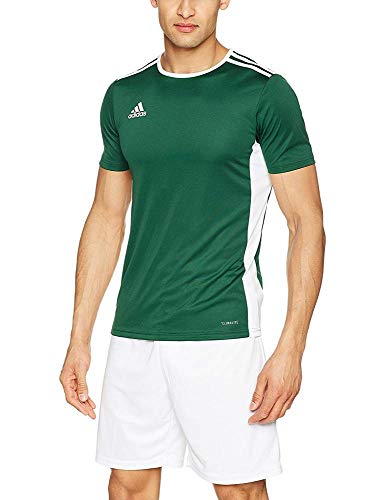 adidas Entrada 18 JSY T-Shirt, Hombre, Collegiate Green/White, L