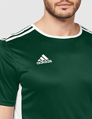 adidas Entrada 18 JSY T-Shirt, Hombre, Collegiate Green/White, L