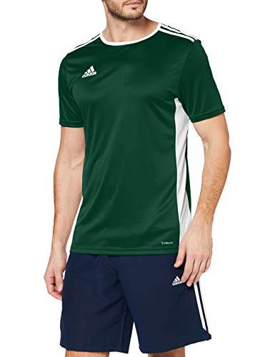 adidas Entrada 18 JSY T-Shirt, Hombre, Collegiate Green/White, L