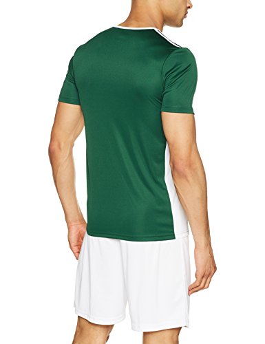 adidas Entrada 18 JSY T-Shirt, Hombre, Collegiate Green/White, L