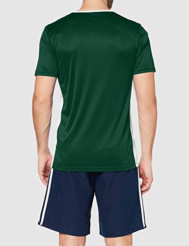 adidas Entrada 18 JSY T-Shirt, Hombre, Collegiate Green/White, XL