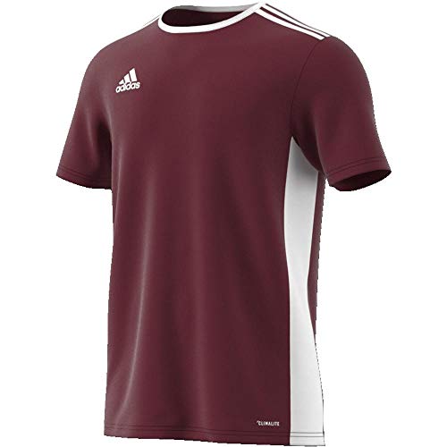 adidas Entrada 18 JSY T-Shirt, Hombre, Maroon/White, L