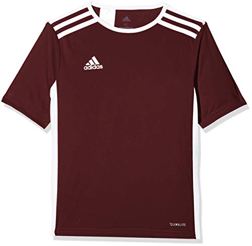 adidas Entrada 18 JSY T-Shirt, Hombre, Maroon/White, L