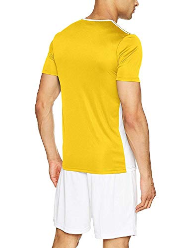 adidas Entrada 18 JSY T-Shirt, Hombre, Yellow/White, L