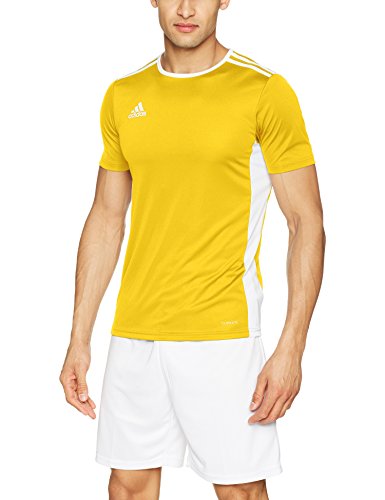 adidas Entrada 18 JSY T-Shirt, Hombre, Yellow/White, L
