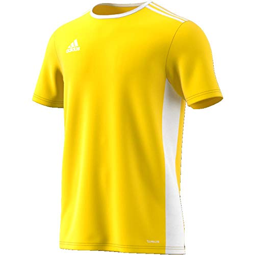 adidas Entrada 18 JSY T-Shirt, Hombre, Yellow/White, S