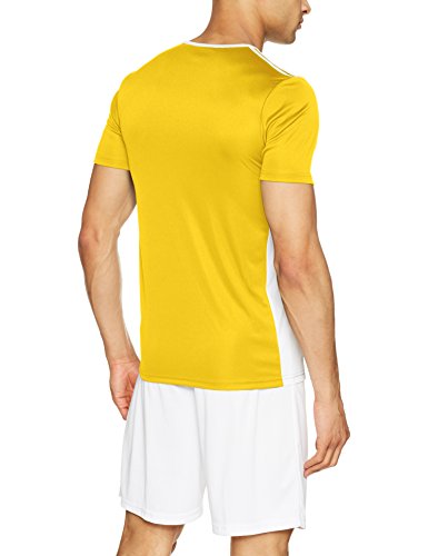 adidas Entrada 18 JSY T-Shirt, Hombre, Yellow/White, S