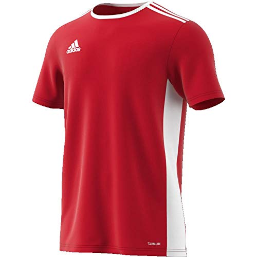 adidas Entrada 20 Camiseta de Fútbol para Hombre de Cuello Redondo en Contraste, Rojo (Power Red/White), L