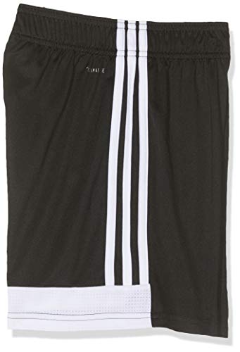 adidas Tastigo19 SHO Pantalones Cortos de Deporte, Hombre, Negro (Black/White), S