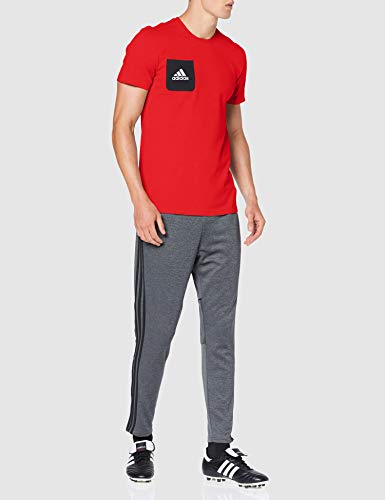 adidas Tiro 17 tee Camiseta, Hombre, Rojo (Escarl/Negro/Blanco), XL