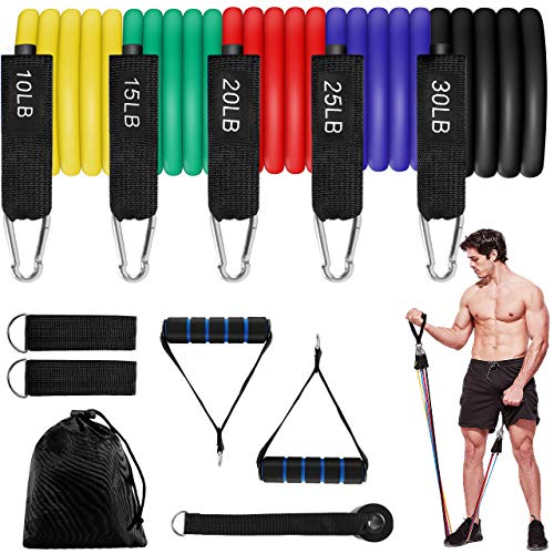 Aiglam Bandas Elásticas, Set de Bandas de Resistencia para Entrenar con Soporte de 100lbs, Kit de Bandas para Entrenar con 5 Tubos, 2 Manijas de Hule,2 Correas para Tobillos, Anclaje para Puerta