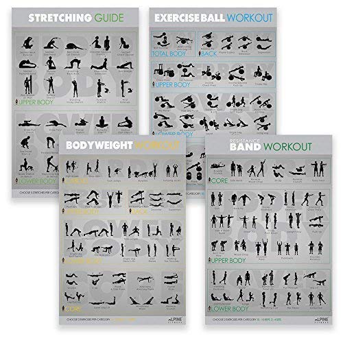 Alpine Fitness Ejercicio & Fitness Posters | Amplio gimnasio laminado planificador cartas para entrenamientos de gran