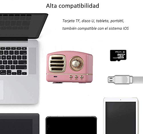 Altavoz portatil Bluetooth Vintage Mini Efecto del Sonido HiFi Envolvente estéreo 3D Bluetooth 4.1+EDR batería de Litio (Rosa)
