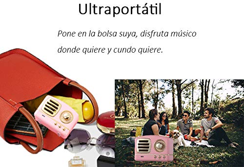 Altavoz portatil Bluetooth Vintage Mini Efecto del Sonido HiFi Envolvente estéreo 3D Bluetooth 4.1+EDR batería de Litio (Rosa)