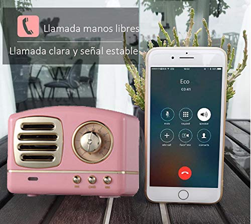 Altavoz portatil Bluetooth Vintage Mini Efecto del Sonido HiFi Envolvente estéreo 3D Bluetooth 4.1+EDR batería de Litio (Rosa)