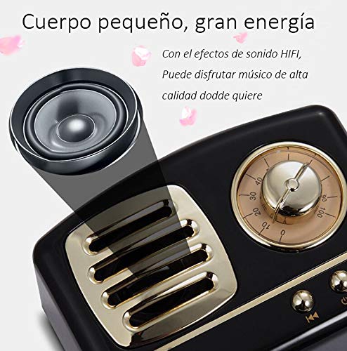 Altavoz portatil Bluetooth Vintage Mini Efecto del Sonido HiFi Envolvente estéreo 3D Bluetooth 4.1+EDR batería de Litio (Rosa)