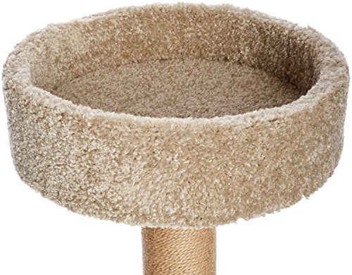 AmazonBasics - Árbol de gatos con postes rascadores - Grande