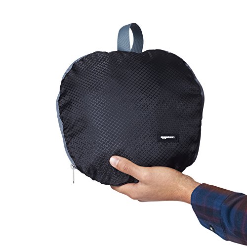 AmazonBasics - Bolsa de viaje y deporte de lona plegable, 59 cm, 64 litros