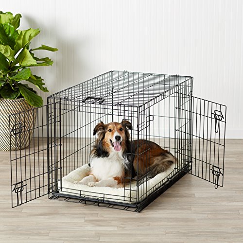 AmazonBasics - Jaula plegable de metal para mascota (dos puertas, 91 cm largo)