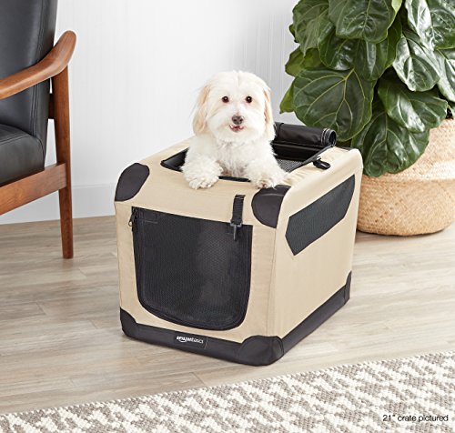 AmazonBasics - Transportín para perros, blando, plegable, 91cm