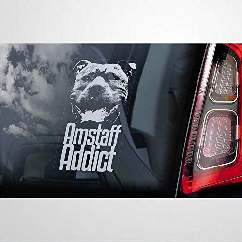 Amstaff Addict calcomanía de vinilo para coche, decoración para ventana, parachoques, portátil, paredes, computadora, vaso, taza, teléfono, camión, accesorios de coche