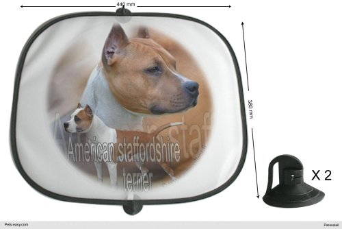 Amstaff - Parasol para perro