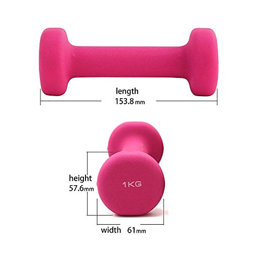 Anjing - Juego de 2 mancuernas de neopreno, 1 kg, color rosa