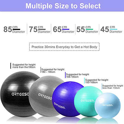 arteesol Balón de Ejercicio Anti-explosión, 45cm / 55cm / 65cm / 75cm Fitness Yoga Ball Estabilizador de balón de Equilibrio Resistente con Bomba rápida para Core Force