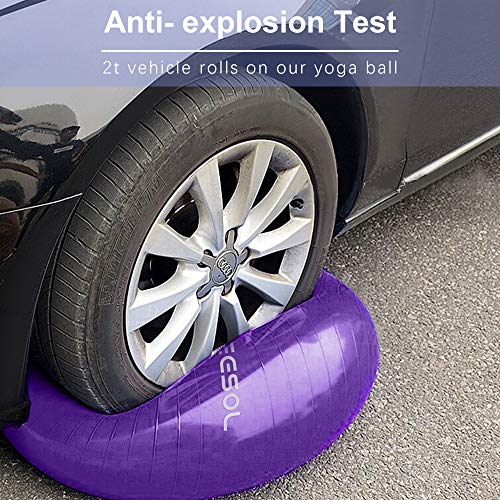 arteesol Balón de Ejercicio Anti-explosión, 45cm / 55cm / 65cm / 75cm Fitness Yoga Ball Estabilizador de balón de Equilibrio Resistente con Bomba rápida para Core Force