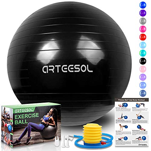 arteesol Fitness Pelota, Balón de Ejercicio Anti-explosión 45cm/55cm/65cm/75cm/85cm Fitness Yoga Ball Estabilizador de balón de Equilibrio Resistente con Bomba rápida para Core Force