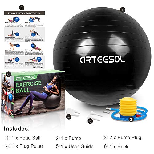arteesol Fitness Pelota, Balón de Ejercicio Anti-explosión 45cm/55cm/65cm/75cm/85cm Fitness Yoga Ball Estabilizador de balón de Equilibrio Resistente con Bomba rápida para Core Force