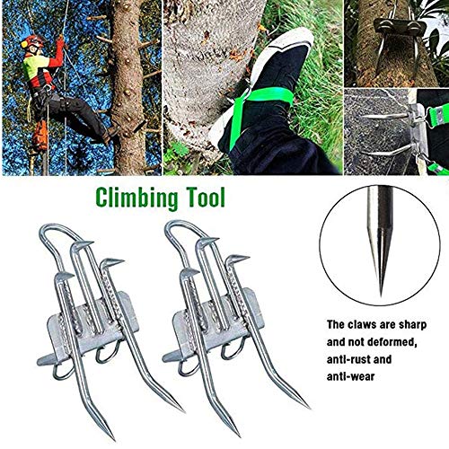 Artefacto Artefacto multifunción árboles subir a trepar a un árbol for trepar a los árboles Suba zapatos al aire libre Slip acero inoxidable Cat S pata for excavar el nido herramienta fácil de usar