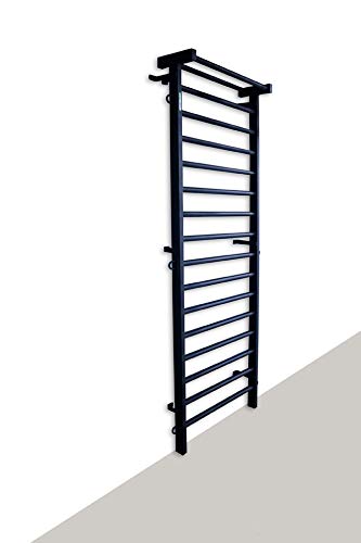 ARTIMEX espaldera de Acero (Escalera Sueca) para Gimnasia - utilizadas en hogares, gimnasios o al Aire Libre, 230x90 cm, código 221-Metall