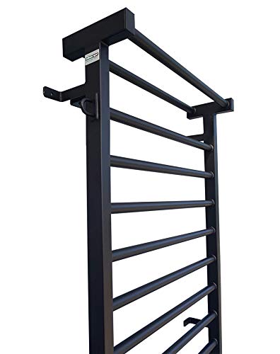 ARTIMEX espaldera de Acero (Escalera Sueca) para Gimnasia - utilizadas en hogares, gimnasios o al Aire Libre, 230x90 cm, código 221-Metall