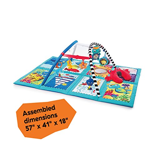 Baby Einstein, Discovery Seas™ Gimnasio de Actividades musical y interactivo