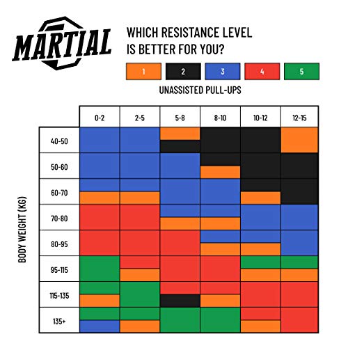 Bandas de Resistencia Martial para un Entrenamiento óptimo. Cintas de Entrenamiento Resistentes y a Prueba de roturas en 5 Grados de dureza. Bandas de Fitness para Todos los Grupos de músculos.