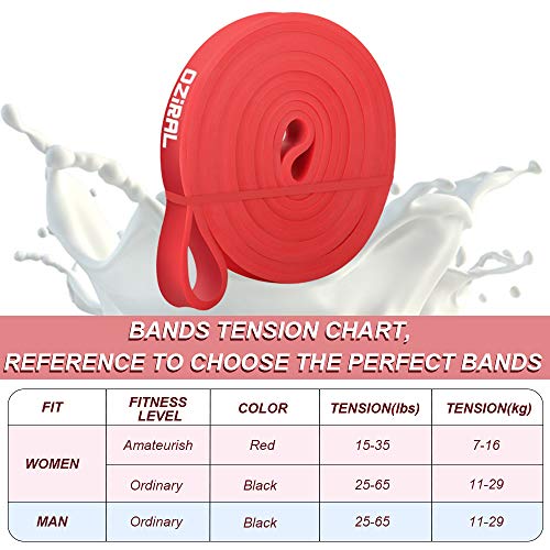 Bandas de Resistencia,Bandas Asistidos Elástica de Ejercicios para Mujeres y Hombres,Cuerda Duradera de Látex Natural Premium para Entrenamiento de Fuerza,Crossfit,Yoga y Pilates (Rojo (10-35 lbs))