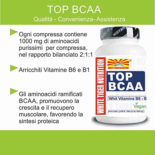 BCAA Aminoácidos Ramificados 2: 1: 1. | 100 Comprimidos 105 gr | con Vitaminas B6 y B1 Aumento de Masa Muscular Recuperación Valina Leucina Isoleucina Suplementos Ciclismo Bodybuilding