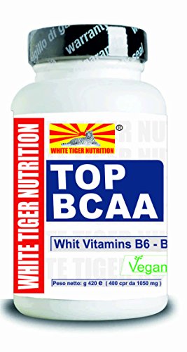 BCAA Aminoácidos Ramificados 2: 1: 1. | 100 Comprimidos 105 gr | con Vitaminas B6 y B1 Aumento de Masa Muscular Recuperación Valina Leucina Isoleucina Suplementos Ciclismo Bodybuilding