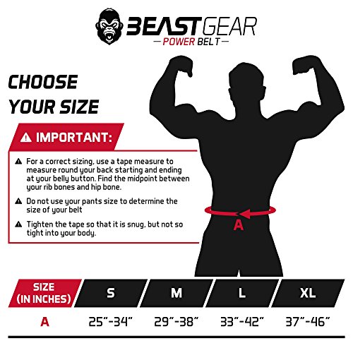 Beast Gear Cinturón Halterofilia – Cinturón Lumbar Powerlifting con Doble Hebilla – Cinturón Levantamiento de Peso de Piel Nobuck – 10 cm de Ancho y 10 mm de Grosor - S