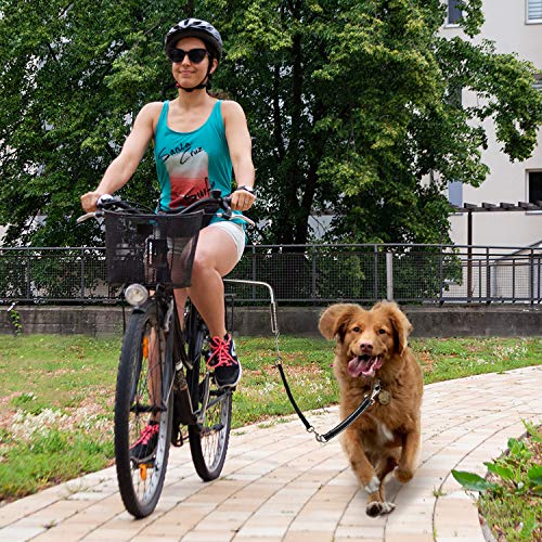 Bella & Balu Correa Perro para Bicicletas | Correa para bicicleta incl. Fijación para el sillín, espaciador, muelle de bobina, correa, reflectores y guía corta – Para un ciclismo seguro con su perro