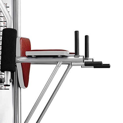 BH Fitness Global Gym Plus – Máquina de fitness, Multiestación, tensión máxima 100 kg