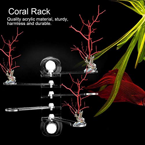 Bicaquu Soporte de acrílico Coral Racks Cinco Garras en Forma de árbol Soportes Tanques de Pescado Ventosas